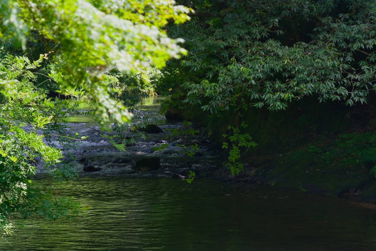 7 Peacefulness Habits Backed by Science (Not Just Spa Vibes)